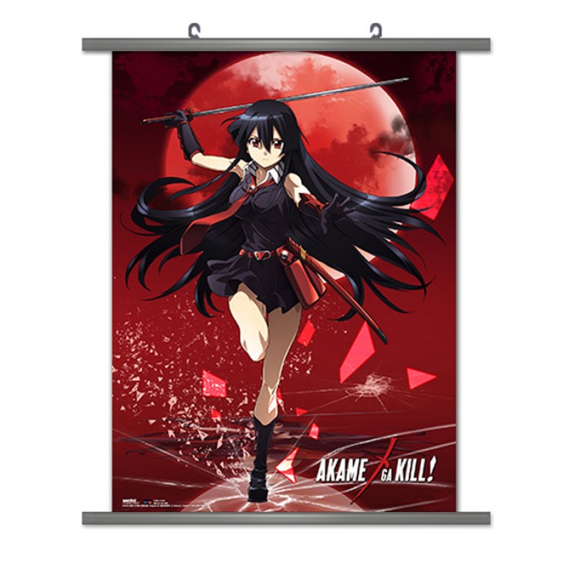  A Wide Variety of Akame Ga Kill! Anime Characters Wall Scroll  Hanging Decor (Akame 6) : Tools & Home Improvement